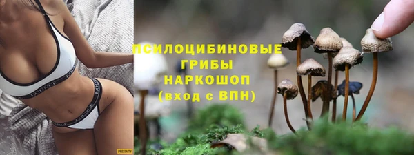 первитин Белоозёрский