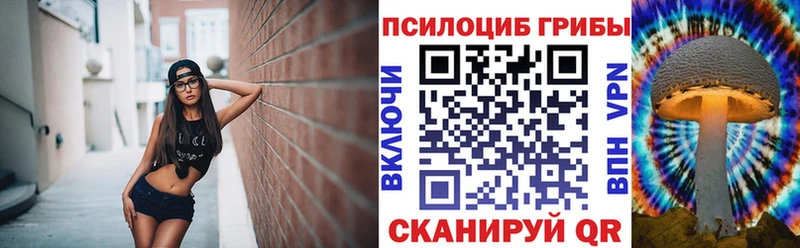 Псилоцибиновые грибы Cubensis Реж